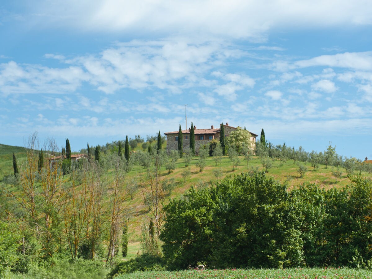 Holiday apartment Podere Campaini 3-room apartment with pool - Outdoor photo 3