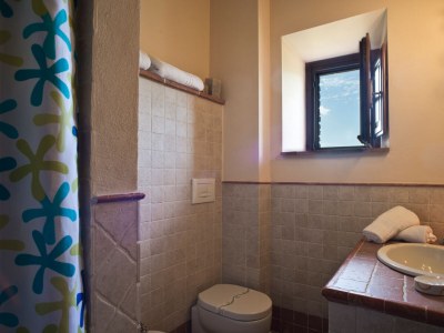 Holiday apartment Podere Campaini 3-room apartment with pool - Features photo 15