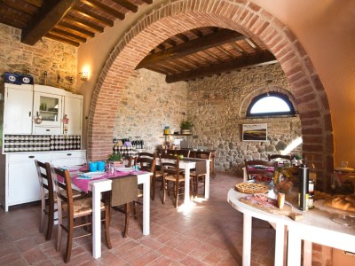 Holiday apartment Podere Campaini 3-room apartment with pool - Features photo 17