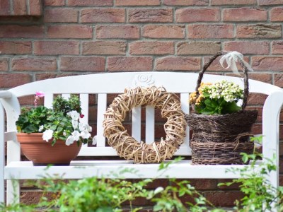 Holiday apartment Schröder at the aerie - Outdoor photo 6