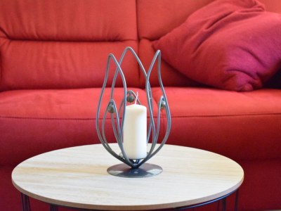 Holiday apartment Schröder at the aerie - Features photo 10