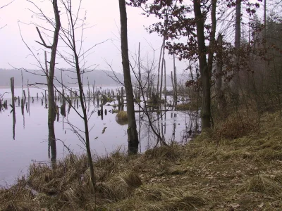 Holiday apartment Schröder at the aerie - Environment photo 17