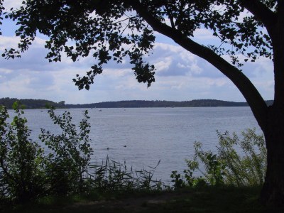 Holiday apartment Schröder at the aerie - Environment photo 20