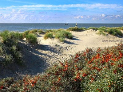 Holiday apartment Borkum Schwalbennest - Environment photo 20