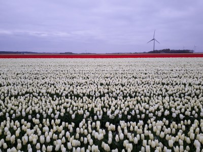 Holiday house an der Nordseeküste - Outdoor photo 14