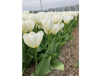 Holiday house an der Nordseeküste - Outdoor photo 16