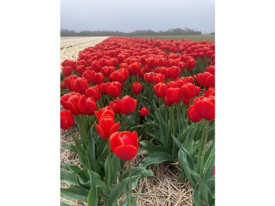 Holiday house an der Nordseeküste - Outdoor photo 17