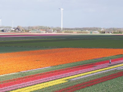 Holiday house an der Nordseeküste - Environment photo 19