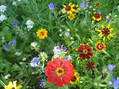 Holiday apartment alps view - Outdoor photo 6