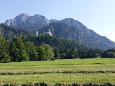 Holiday apartment alps view - Environment photo 17