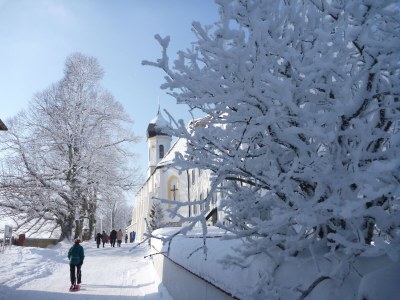 Holiday apartment alps view - Environment photo 22