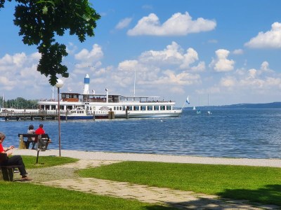 Holiday apartment alps view - Environment photo 27