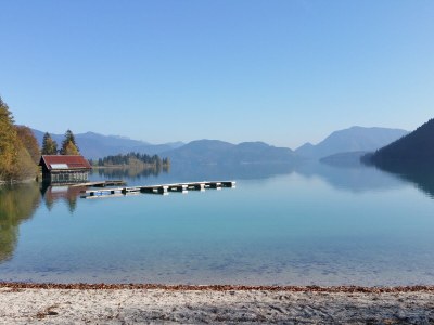 Holiday apartment alps view - Environment photo 28