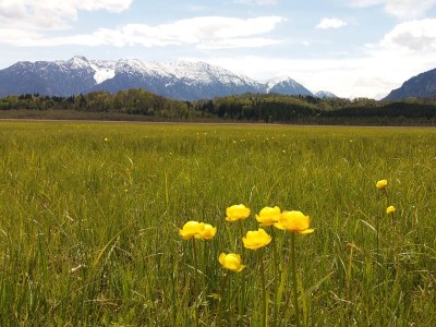 Holiday apartment alps view - Environment photo 29