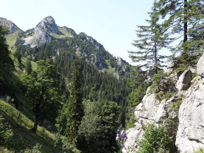 Holiday apartment alps view - Environment photo 30