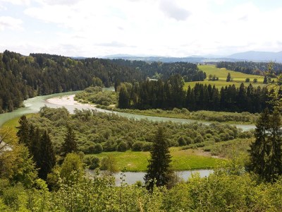 Holiday apartment alps view - Environment photo 31