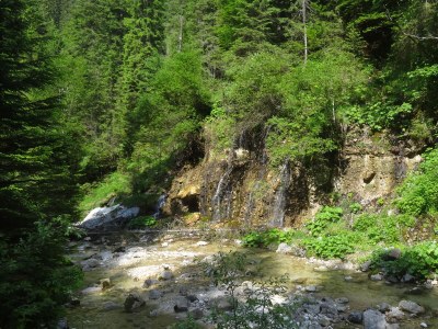 Holiday apartment alps view - Environment photo 32