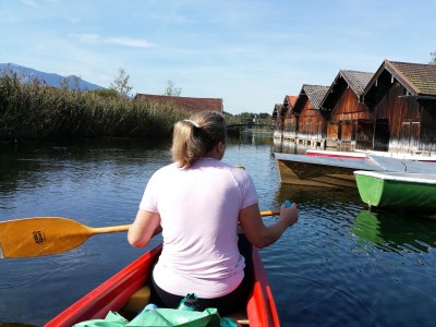 Holiday apartment alps view - Environment photo 35