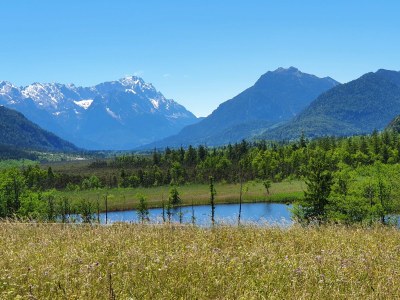 Holiday apartment alps view - Environment photo 37