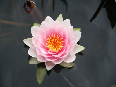 Holiday apartment alps view - Document photo 45