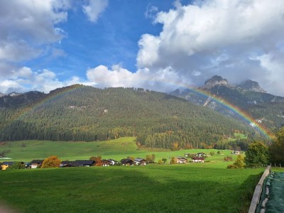 Holiday apartment Biobauernhof Wiesingbauer - Environment photo 9