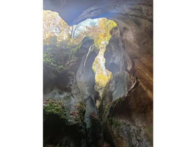 Holiday apartment Biobauernhof Wiesingbauer - Environment photo 10