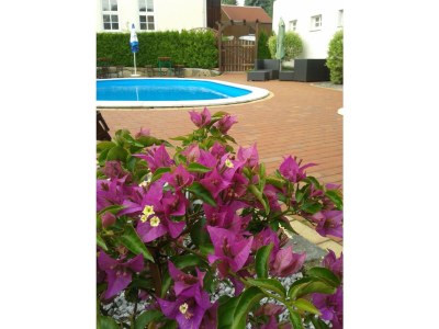 Holiday apartment Garden view - Outdoor photo 9