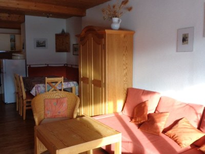 Holiday apartment Haus Sonnalpin - Features photo 9
