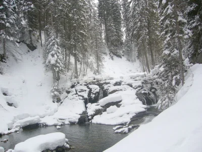 Holiday apartment Haus Sonnalpin - Environment photo 20