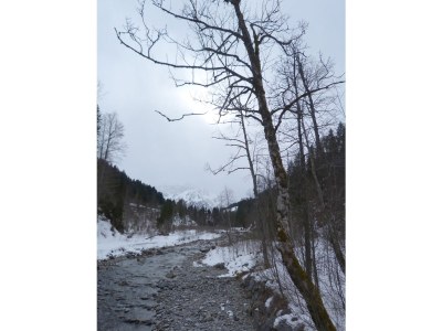 Holiday apartment Haus Sonnalpin - Environment photo 22