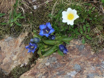 Holiday apartment Holiday house Reichegger - Environment photo 18