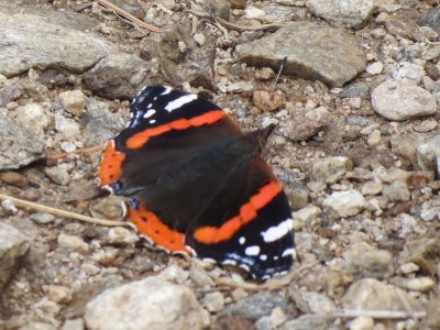 Holiday apartment Holiday house Reichegger - Environment photo 22