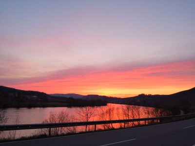 Holiday apartment Mosel River - Environment photo 31