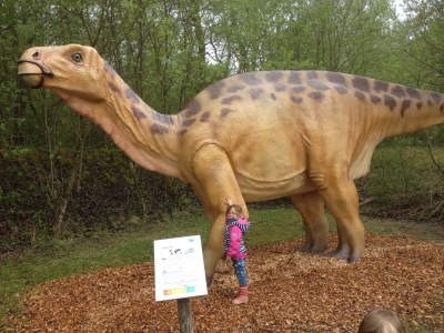 Holiday apartment Ferienhaus am See - Environment photo 18