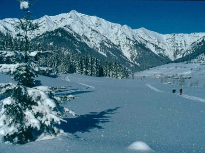 Holiday apartment Beatrix Schnaitl - Environment photo 33