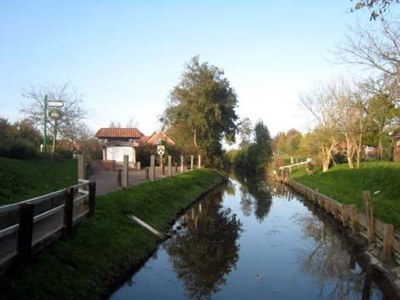 Holiday house Wershofen 4 - Environment photo 20