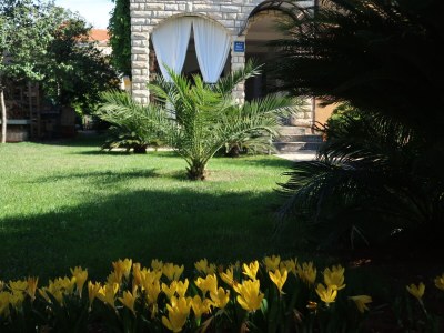 Holiday apartment Ella - Outdoor photo 3