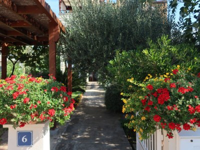 Holiday apartment Ella - Outdoor photo 9