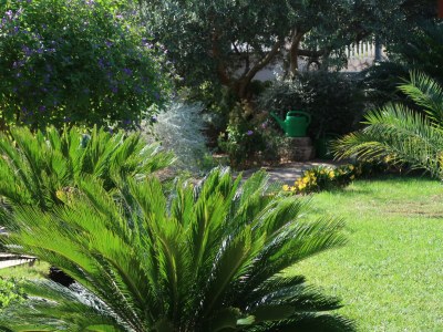 Holiday apartment Ella - Outdoor photo 14