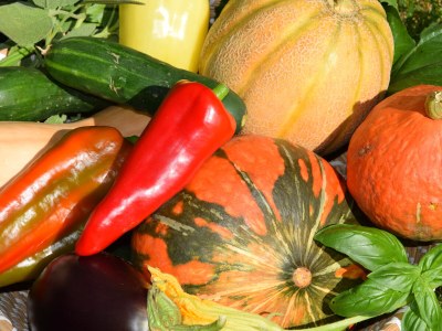 Holiday apartment Ella - Outdoor photo 20