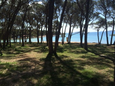 Holiday apartment Ella - Environment photo 38