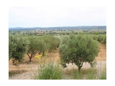 Holiday apartment Ella - Document photo 41