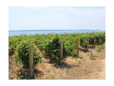 Holiday apartment Ella - Document photo 42