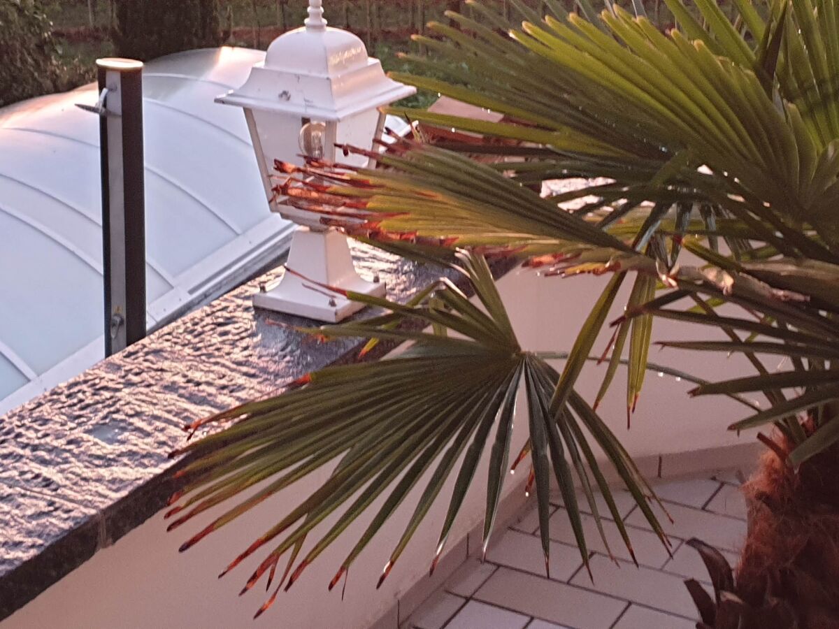 Holiday apartment Schultheiß - Outdoor photo 5