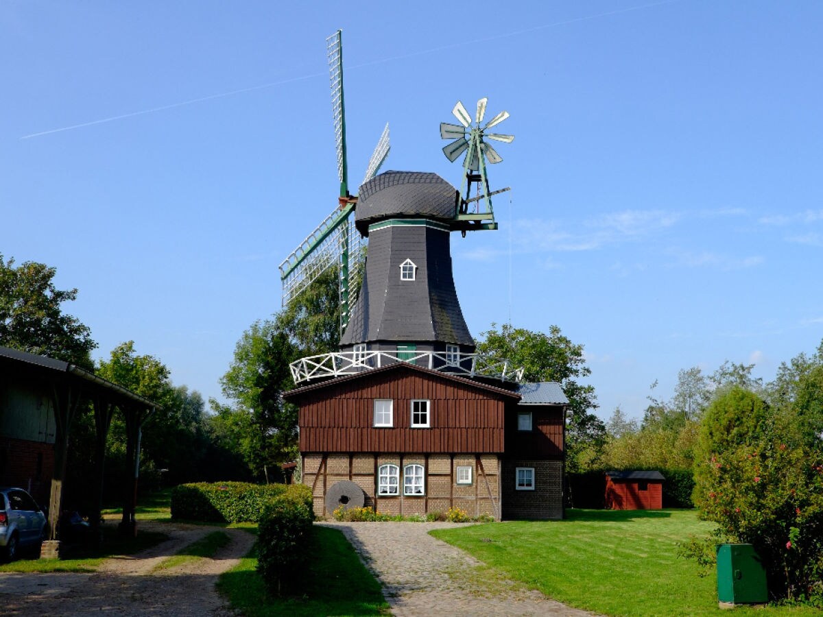 Holiday apartment Dünenoase 2 - Outdoor photo 2