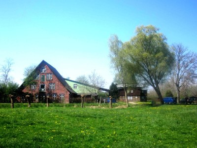 Holiday apartment Dünenoase 2 - Environment photo 12