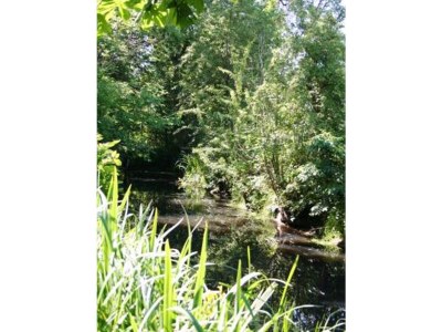 Holiday apartment Dünenoase 2 - Environment photo 17