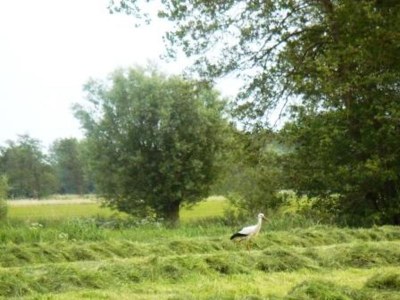 Holiday apartment Dünenoase 2 - Environment photo 18