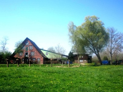 Holiday apartment Dünenoase 3 - Environment photo 13