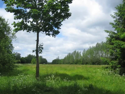 Holiday apartment Dünenoase 3 - Environment photo 14